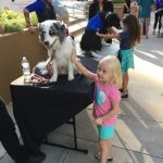 little girl petting dog